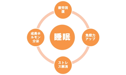 どうして睡眠は必要なの?